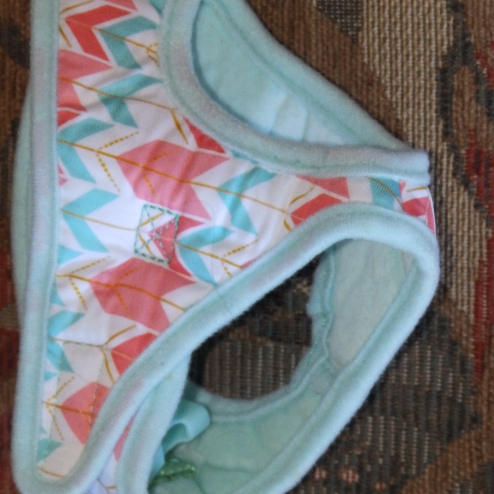 small blue and pink harness